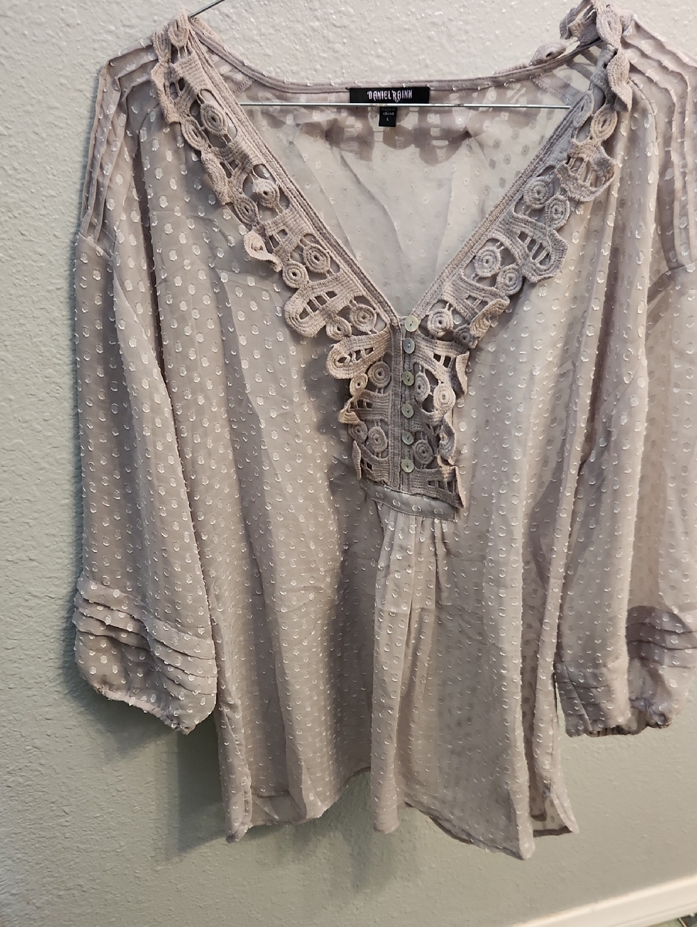 Daniel Rainn Taupe Swiss Dot Lace-Trim Peasant Tunic Mesh Top